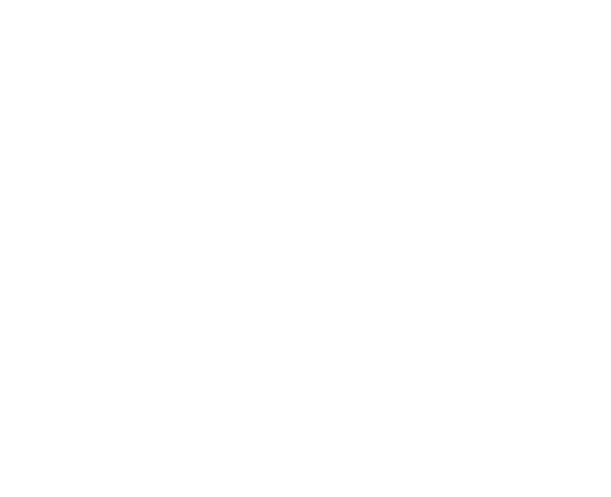 Development & Automation